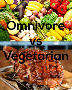 Omnivore vs vegetarian diets for sports performance